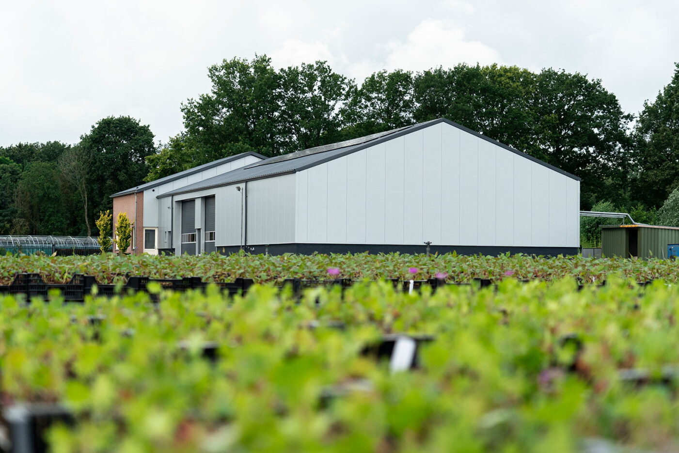 De-Meijer-Staalbouw-De-Noordhoek-Vaste-Planten-BV-schijf-4